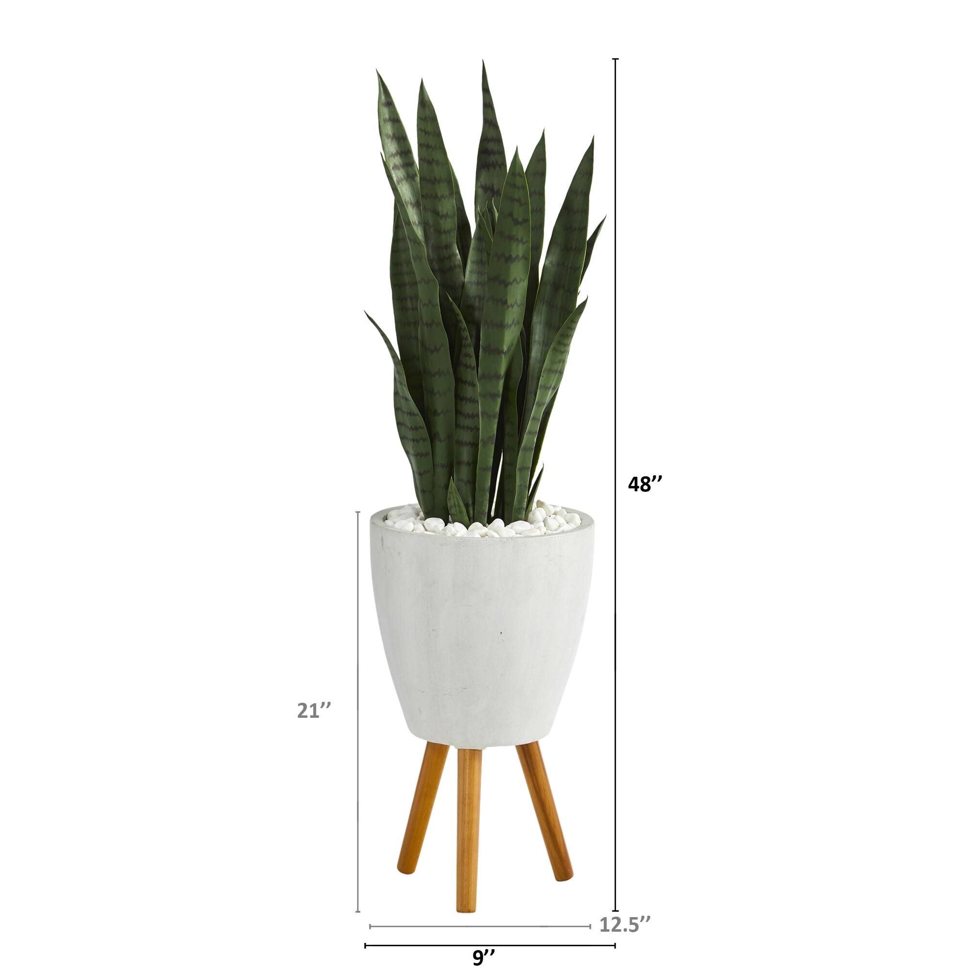 4ft. Snake Plant in White Planter with Stand
